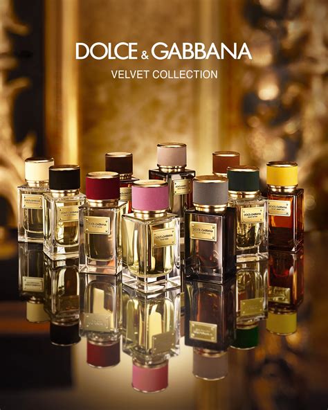 dolce and gabbana sicily perfume|dolce and gabbana velvet collection.